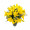 Buquê de Flores Alegria de Lírio amarelo