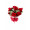 Buquê de Flores Encanto com 6 colombianas vermelhas