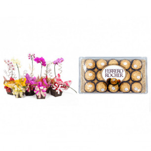 Vaso Plantado Orquídea Variada + Ferrero Rocher