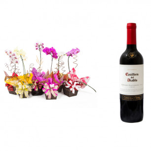 Vaso Plantado Orquídea Variada + Vinho Casillero Del Diablo Reserva Cabernet Sauvignon