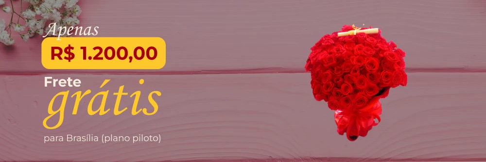 frete gratis 2025 novo