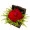 Arranjo de Flores Tesouro vermelho