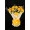 Buquê de Flores Yellow Roses